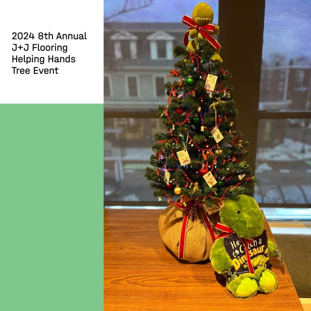 The Interiors team had a great time at the 8th Annual J+J Flooring Helping Hands Tree Decorating Event at Gillette Stadium benefiting Hasbro Children’s Hospital.⁠
⁠
Proudly displaying PCA’s creation, Tracy, Tara, Amanda and Janine happily designed a dino-inspired tree, keeping the kids in mind during this holiday season.⁠
⁠
Thank you to event sponsors: J+J Flooring, Ruggieri Bros and Nemo Tile + Stone⁠
⁠
More about Helping Hands at Link in Bio.⁠
⁠
#PCA_team #PCA_support